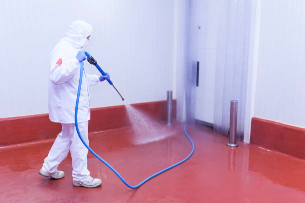 Best Paint Preparation  in Village Of The Branch, NY