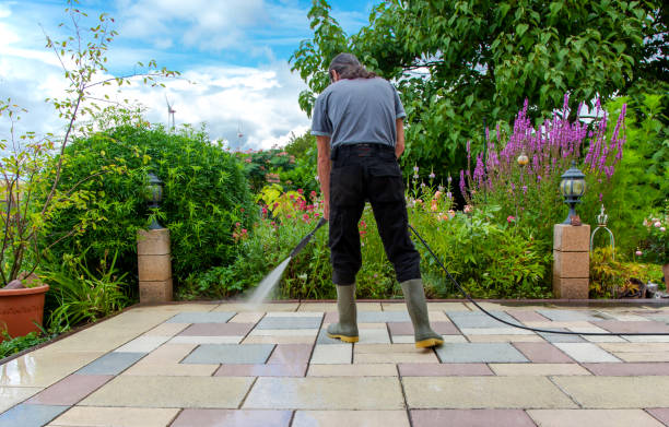 Best Fence Cleaning  in Village Of The Branch, NY